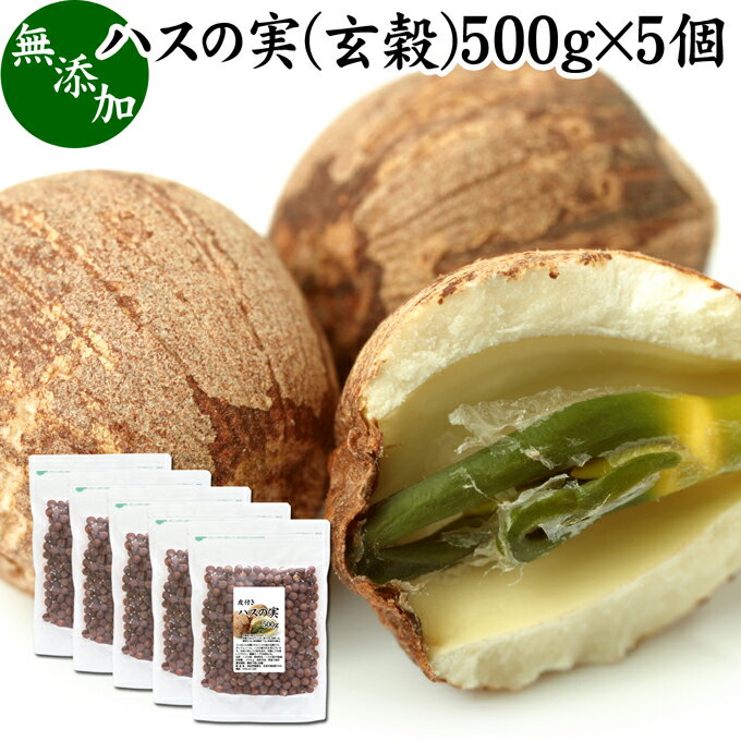 ハスの実 玄穀 500g×5個 蓮の実 はす