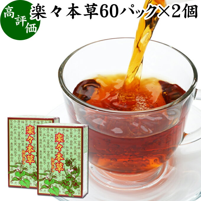 楽々本草 箱 60パック×2個 本草茶 健康茶 ドクダミ どくだみ エビスグサ 種子 決明子 河原決明 カワラケツメイ 大豆 ウーロン茶 烏龍茶 ハトムギ はとむぎ ゴールデンキャンドル ブレンド茶 ブレンドティー お茶 健康 美容 カップ出し用 熱水 熱湯 抽出 ティーバッグ パック