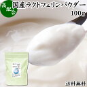 ラクトフェリン パウダー 100g 粉末 ラクトフェリン サプリ 乳酸菌 パウダー サプリメント ビフィズス菌 善玉菌 乳酸菌パウダー ダイエット 送料無料 砂糖不使用 サプリメント 業務用 離乳食 ベビーフード プロバイオティクス プレバイオティクス ペット 犬 猫 ドッグ フード