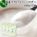 ラクトフェリン パウダー 100g×3個 粉末 ラクトフェリン サプリ 乳酸菌 パウダー サプリメント ビフィズス菌 善玉菌 …