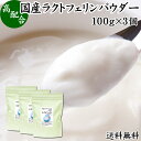 ラクトフェリン パウダー 100g×3個 粉末 ラクトフェリン サプリ 乳酸菌 パウダー サプリメント ビフィズス菌 善玉菌 乳酸菌パウダー ダイエット 送料無料 砂糖不使用 サプリメント 業務用 離乳食 ベビーフード プロバイオティクス プレバイオティクス ペット 犬 猫 フード 1