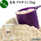 玄米プロテイン1kg【健康生活研究所】粉末状大豆たんぱく透明大袋入り無添加