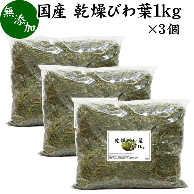 乾燥 びわ葉 1kg×3個 び