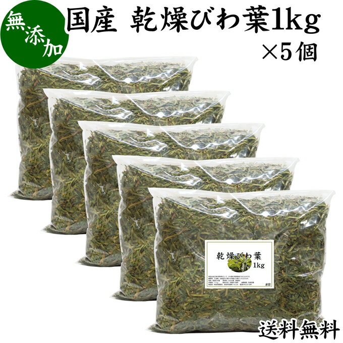 楽天青汁 粉末 健康茶の健康生活研究所乾燥 びわ葉 1kg×5個 びわの葉 国産 ビワ葉 ビワの葉 枇杷葉 枇杷の葉 ドライハーブ お風呂用 入浴剤に びわ茶に びわ葉茶に びわの葉茶に 送料無料 業務用 無農薬 100％ 無添加 びわ葉エキスに びわの葉エキスに 温灸のもぐさに ハーブティーに 手作り 化粧品 化粧水に