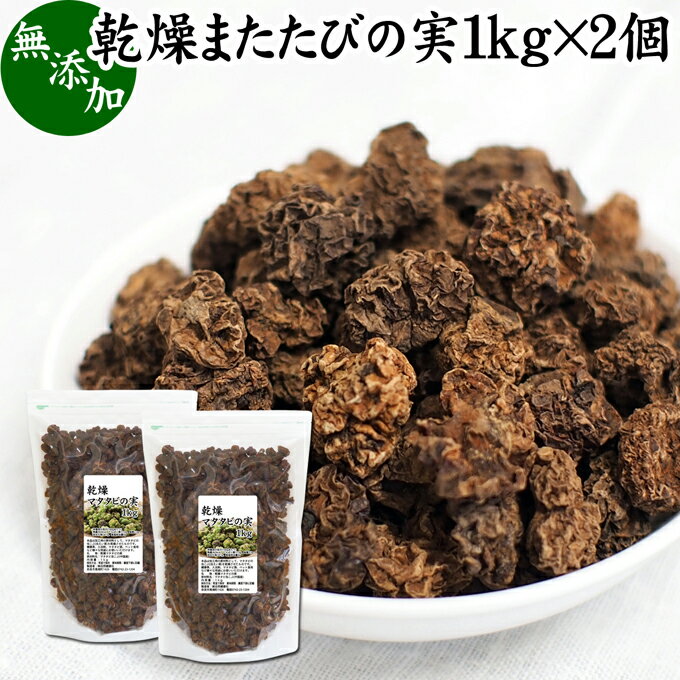 楽天青汁 粉末 健康茶の健康生活研究所マタタビの実 1kg×2個 またたびの実 乾燥 虫えい 虫えい果 虫こぶ むしこぶ 虫瘤 果実 原形 業務用 無添加 100％ 無着色 木天蓼 モクテンリョウ 生薬 漢方 手作業 選別 ネペタラクトン ネペタラクトール マタタビラクトン またたび茶 マタタビ茶 お風呂 入浴剤 またたび酒