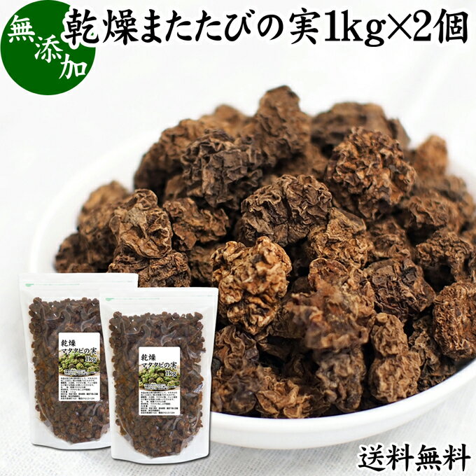 楽天青汁 粉末 健康茶の健康生活研究所マタタビの実 1kg×2個 またたびの実 乾燥 虫えい 虫えい果 虫こぶ むしこぶ 虫瘤 果実 原形 業務用 無添加 100％ 木天蓼 モクテンリョウ 送料無料 生薬 漢方 手作業 選別 ネペタラクトン ネペタラクトール マタタビラクトン またたび茶 マタタビ茶 お風呂 入浴剤 またたび酒