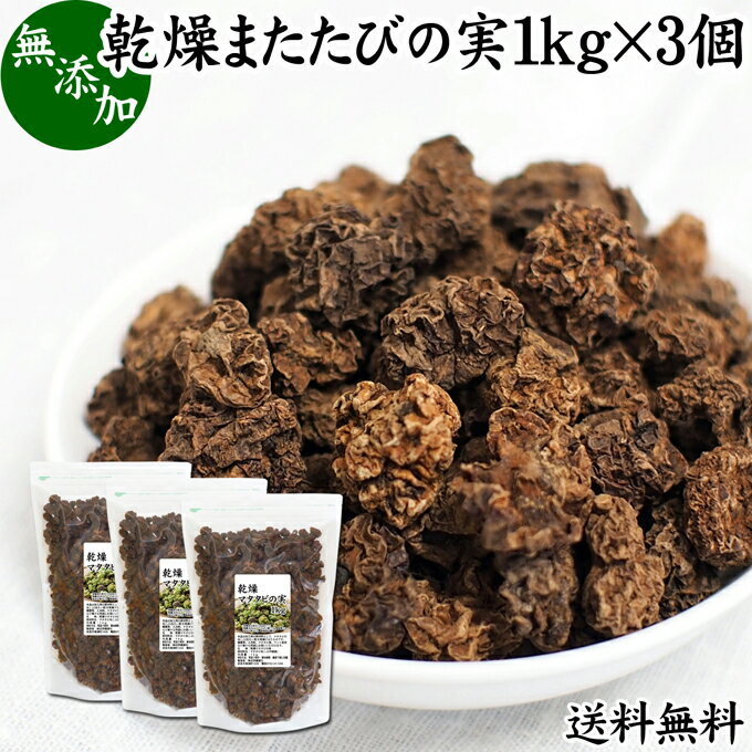 楽天青汁 粉末 健康茶の健康生活研究所マタタビの実 1kg×3個 またたびの実 乾燥 虫えい 虫えい果 虫こぶ むしこぶ 虫瘤 果実 原形 業務用 無添加 100％ 木天蓼 モクテンリョウ 送料無料 生薬 漢方 手作業 選別 ネペタラクトン ネペタラクトール マタタビラクトン またたび茶 マタタビ茶 お風呂 入浴剤 またたび酒