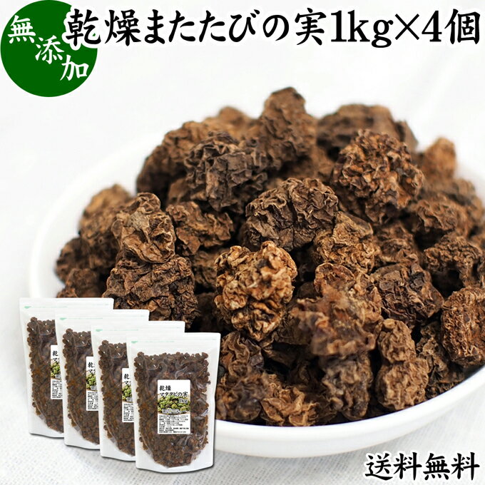 楽天青汁 粉末 健康茶の健康生活研究所マタタビの実 1kg×4個 またたびの実 乾燥 虫えい 虫えい果 虫こぶ むしこぶ 虫瘤 果実 原形 業務用 無添加 100％ 木天蓼 モクテンリョウ 送料無料 生薬 漢方 手作業 選別 ネペタラクトン ネペタラクトール マタタビラクトン またたび茶 マタタビ茶 お風呂 入浴剤 またたび酒