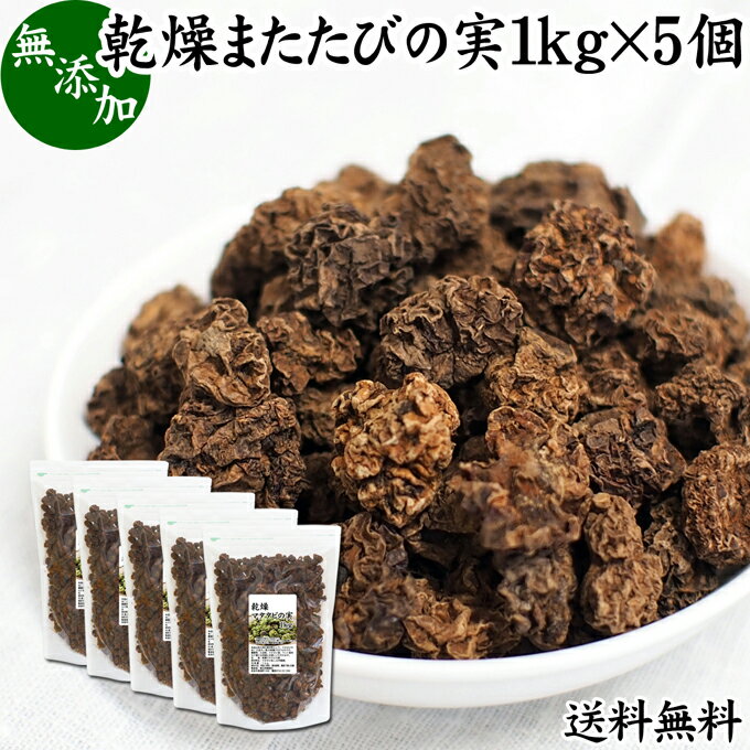 マタタビの実 1kg×5個 またたびの実 乾燥 虫えい 虫えい果 虫こぶ むしこぶ 虫瘤 果実 原形 業務用 無添加 100% 木天蓼 モクテンリョウ 送料無料 生薬 漢方 手作業 選別 ネペタラクトン ネペタラクトール マタタビラクトン またたび茶 マタタビ茶 お風呂 入浴剤 またたび酒