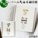 馬油 石鹸 6個 ソンバーユ 馬油 石けん せっけん 尊馬油 薬師堂 馬油 ソープ 無着色 無香料 ばーゆ バーユ まーゆ 馬の油 送料無料 固形ソープ 保湿 ボディケア 洗顔用 全身用 体用 浴用 ベビー用 赤ちゃん ボディソープ 洗顔石鹸 固形石鹸 ギフト プレゼント スキンケア