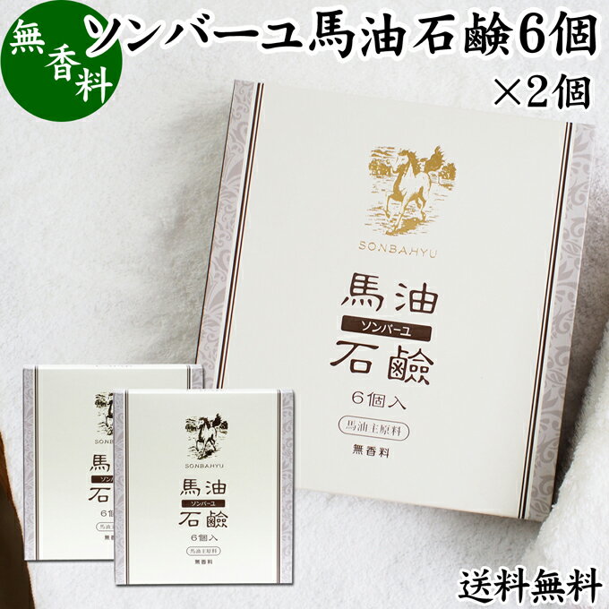 馬油 石鹸 6個入 2個 ソンバーユ 馬油 石けん せっけん 尊馬油 薬師堂 馬油 ソープ 無着色 無香料 ばーゆ バーユ まーゆ 馬の油 送料無料 固形ソープ 保湿 ボディケア 洗顔用 全身用 体用 浴用…