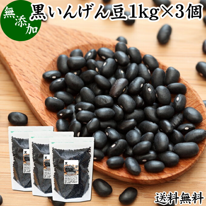 黒いんげん豆 1kg×3個 いんげん豆 インゲン豆 ブラックタートル ブラックキドニー ビーンズ black turtle bean うずら豆 生豆 乾燥豆 無添加 100% 業務用 大容量 お得 送料無料 スーパーフード カナダ産 たんぱく質 ビタミン B1 B2 マグネシウム 亜鉛 葉酸 ポリフェノール