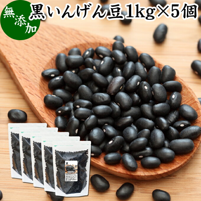 󤲤Ʀ 1kg5 󤲤Ʀ 󥲥Ʀ ֥åȥ ֥åɥˡ ӡ black turtle bean ...