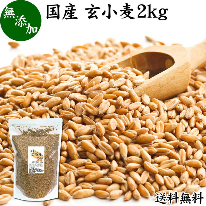 玄小麦 2kg 全粒小麦 北海道産 国産 きたほなみ 無添加 100% 業務用 送料無料 製粉前 未精白 小麦粒 胚乳 胚芽 小麦 ふすま フスマ ブラン 食物繊維 ビタミン B1 B6 E マグネシウム 麦ごはん 麦ご飯 雑穀 ごはん 自然 食品 美容 健康 全粒粉に 製菓 材料 製パン 生地 穀物