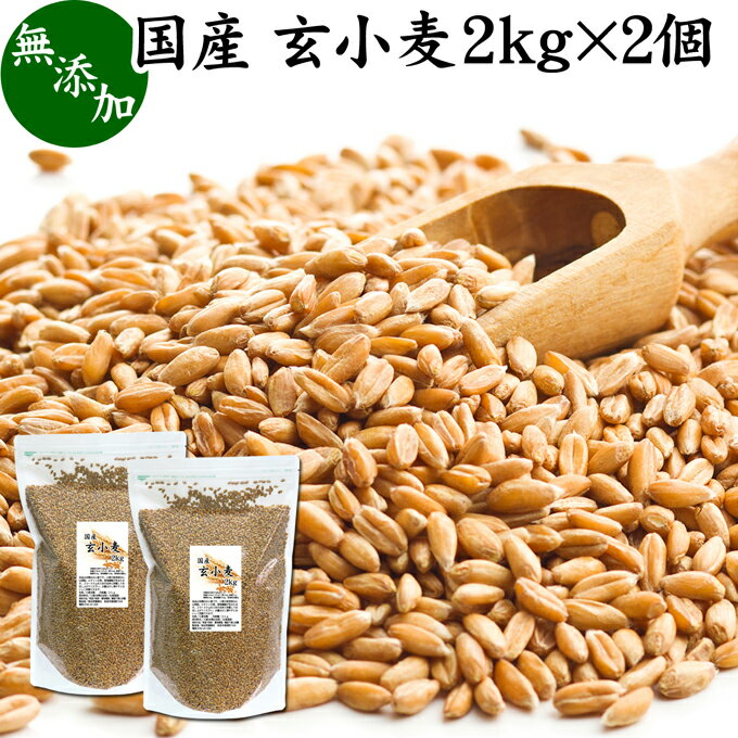 玄小麦 2kg×2個 全粒小麦 北海道産 国産 きたほなみ 無添加 100% 業務用 製粉前 未精白 小麦粒 胚乳 胚芽 小麦 ふすま フスマ ブラン 食物繊維 ビタミン B1 B6 E カリウム マグネシウム 麦ごはん 麦ご飯 雑穀 ごはん 自然 食品 美容 健康 全粒粉に 製菓 材料 製パン 生地