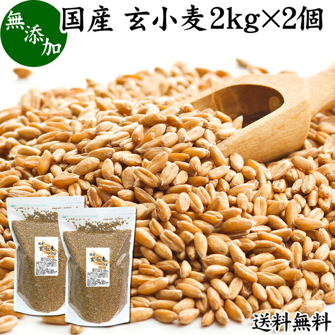 玄小麦 2kg×2個 全粒小麦 北海道産 国産 きたほなみ 無添加 100% 業務用 送料無料 製粉前 未精白 小麦粒 胚乳 胚芽 小麦 ふすま フスマ ブラン 食物繊維 ビタミン B1 B6 E マグネシウム 麦ごはん 麦ご飯 雑穀 ごはん 自然 食品 美容 健康 全粒粉に 製菓 材料 製パン 生地 穀