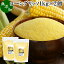 Ľ ʴ η踦㤨֥󥰥å 1kg2 Ȥ ʴ ʴ  ѥ ¤ ̵ź 100% corn grits Ȥ ȥ Ȥʴ  ̳ ƥե꡼ 󥰥åޥե ѥ ѥʴ  ѥ  ѥ ۻҺ å פβǤʤ2,333ߤˤʤޤ