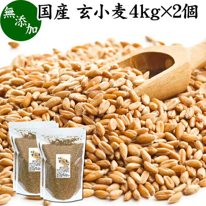 玄小麦 4kg×2個 全粒小麦 北海道産 国産 きたほなみ 無添加 100% 業務用 製粉前 未精白 小麦粒 胚乳 胚芽 小麦 ふすま フスマ ブラン 食物繊維 ビタミン B1 B6 E カリウム マグネシウム 麦ごはん 麦ご飯 雑穀 ごはん 自然 食品 美容 健康 全粒粉に 製菓 材料 製パン 生地