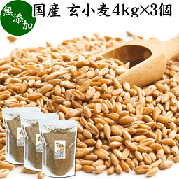 玄小麦 4kg×3個 全粒小麦 北海道産 国産 きたほなみ 無添加 100% 業務用 製粉前 未精白 小麦粒 胚乳 胚芽 小麦 ふすま フスマ ブラン 食物繊維 ビタミン B1 B6 E カリウム マグネシウム 麦ごはん 麦ご飯 雑穀 ごはん 自然 食品 美容 健康 全粒粉に 製菓 材料 製パン 生地