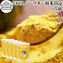 パンプキン 粉末 1kg×5個 かぼちゃ パウダー カボチャ 南瓜 ふんまつ 野菜 パウダー 国産 100% 北海道産 保存料 無添加 業務用 無着色 無香料 アレルゲンフリー カロテン ビタミンA E ビタミンC 緑黄色野菜 赤ちゃん 離乳食 ベビーフード ポタージュ インスタント スープ