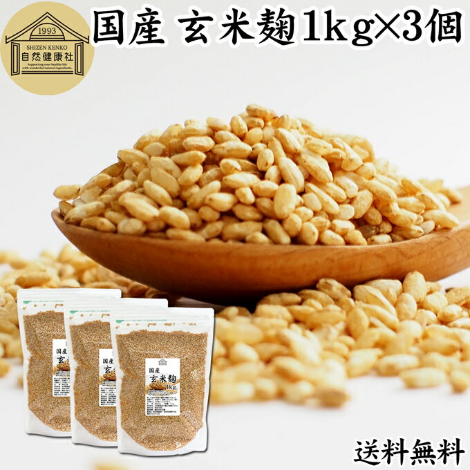 玄米麹 1kg×3個 米糀 こめこうじ 米こうじ 100％ 乾燥 無添加 国産 無塩 砂糖不使用 手作り 塩麹 甘酒 こうじ 発酵 あんこ 味噌 料理 酵素 発酵食品 友麹 共麹 麹味噌 麹漬け 作り方 麹水 糀水 送料無料 美容液 お試し 業務用 大容量 お得 ヴィーガン ビーガン ベジタリアン