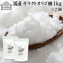 ガラクトオリゴ糖 1kg×2個 粉末 顆粒 国産 無添加 サプリ サプリメント お試し 溶けやすい 甘さひかえめ 控えめ 砂糖 比較 ビフィズス菌 栄養源 プロバイオティクス プレバイオティクス 乳糖 ラクトース 母乳に含まれる 授乳中 赤ちゃん 妊婦 安心 業務用 国内