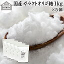 ガラクトオリゴ糖 1kg×