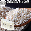 乾燥 米麹 1kg×4個 米糀 こめこうじ 米こうじ 100% 保存料 無添加 無塩 砂糖不使用 手作り 塩麹 甘酒 こうじ 発酵 あんこ 味噌 料理 酵素 発...