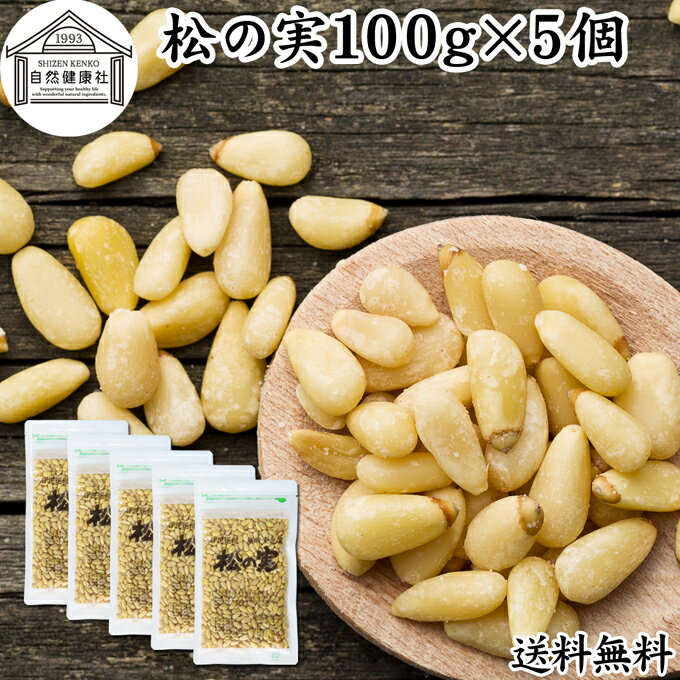 松の実 100g×5個 まつのみ 無添加 無塩 おすすめ 送料無料 人気 ノンオイル 中華 イタリアン 食材 製菓 製パン 材料 ドライ ナッツ トッピング ドレッシング ペスト ジェノベーゼ バジル ソース 大粒 ヘルシー 無着色 Pine nut パインナッツ 亜鉛 薬膳 漢方 スーパーフード