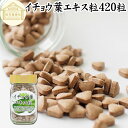 イチョウ葉 エキス粒 105g 420粒 サプリ サプリメント いちょう葉 銀杏葉 無農薬 国産 業務用 フラボノイド ギンコライド ポリフェノール プロアントシアニン タンニン お試し おためし 売れ筋 おすすめ ランキング 人気 口コミ お取り寄せ 自分買い 自分用 プレゼント 贈り