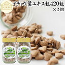 イチョウ葉 エキス粒 105g×2個 840粒 サプリ サプリメント いちょう葉 銀杏葉 無農薬 国産 業務用 フラボノイド ギンコライド ポリフェノール プロアントシアニン タンニン お試し おためし 売れ筋 おすすめ ランキング 人気 口コミ お取り寄せ 自分買い 自分用 プレゼント