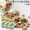 イチョウ葉 エキス粒 105g×3個 1260粒 サプリ サプリメント いちょう葉 銀杏葉 無農薬 国産 業務用 フラボノイド ギンコライド ポリフェノール プロアントシアニン タンニン お試し おためし 売れ筋 おすすめ ランキング 人気 口コミ お取り寄せ 自分買い 自分用 プレゼント