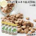 イチョウ葉 エキス粒 105g×4個 1680粒 サプリ サプリメント いちょう葉 銀杏葉 無農薬 国産 業務用 送料無料 フラボノイド ギンコライド ポリフェ...