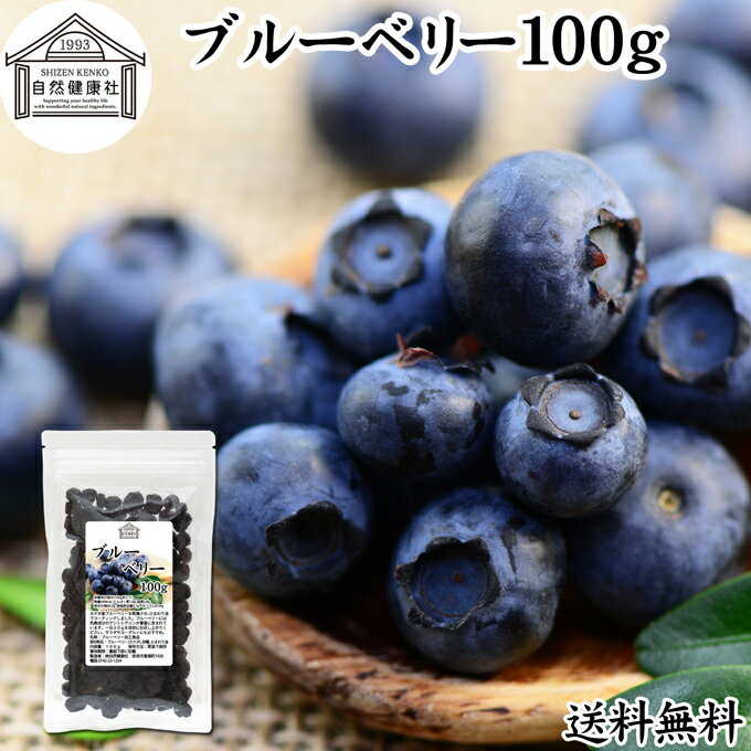 ブルーベリー 100g ブルー ベリー ドライ フルーツ 乾燥 果物 カルチベイト カルティベイト 着色料 保..