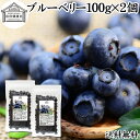 楽天青汁 粉末 健康茶の健康生活研究所ブルーベリー 100g×2個 ブルー ベリー ドライ フルーツ 乾燥 果物 カルチベイト カルティベイト 着色料 保存料 香料 不使用 無着色 業務用 送料無料 ポリフェノール アントシアニン 食物繊維 ビタミン ミネラル 健康 美容 サラダ 菓子 お菓子 おやつ グラノーラ スムージー