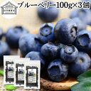 ブルーベリー 100g×3個 ブルー ベリー ドライ フルーツ 乾燥 果物 カルチベイト カルティベイト 着色料 保存料 香料 不使用 無着色 業務用 ポリフェノール アントシアニン 食物繊維 ビタミン ミネラル 健康 美容 サラダ 菓子 お菓子 おやつ グラノーラ スイーツ スムージー