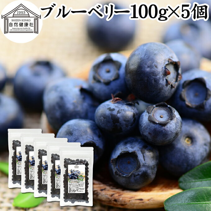 ブルーベリー 100g×5個 ブルー ベリー ドライ フルーツ 乾燥 果物 カルチベイト カルティベイト 着色料..