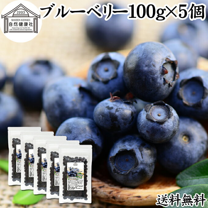 ブルーベリー 100g×5個 ブルー ベリー ドライ フルーツ 乾燥 果物 カルチベイト カルティベイト 着色料..