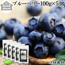 ブルーベリー 100g×5個 ブルー ベリー ドライ フルーツ 乾燥 果物 カルチベイト カルティベイト 着色料 保存料 香料 不使用 無着色 業務用 送料無料 ポリフェノール アントシアニン 食物繊維 ビタミン ミネラル 健康 美容 サラダ 菓子 お菓子 おやつ グラノーラ スムージー