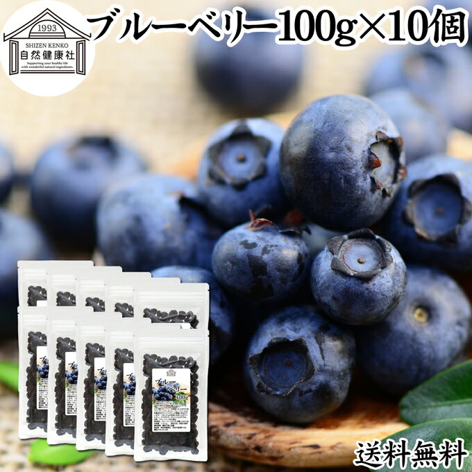 楽天青汁 粉末 健康茶の健康生活研究所ブルーベリー 100g×10個 送料無料 ドライフルーツ 乾燥 無着色 100％ 健康 食事 ヨーグルトに 製菓 製パン おやつ 小腹 お菓子 スイーツ ジャム スムージー ジュース カナダ産 ドライ 食物繊維 アントシアニン ポリフェノール 送料込み 自然健康社【コンビニ受取対象商品】