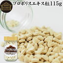 プロポリス エキス 粒 115g 460粒 サプリ サプリメント 錠剤 ブラジル産 ミツバチ 蜜蜂 みつばち 天然 業務用 フラボノイド アミノ酸 ミネラル ビタミン 蜜蝋 ミツロウ 精油 花粉 有機酸 エステル クマリン 高品質 男性 女性 おすすめ 美容 健康 お試し おためし 口コミ