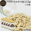 プロポリス エキス 粒 115g×5個 2300粒 サプリ サプリメント 錠剤 ブラジル産 ミツバチ 蜜蜂 みつばち 天然 業務用 送料無料 フラボノイド アミ...