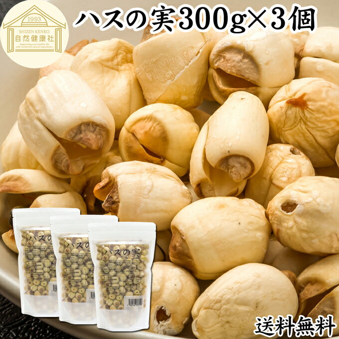 ハスの実 300g×3個 蓮の実 はすの実 蓮実 レンジツ 送料無料 アルカロイド 無添加 乾燥 無漂白 無着色 蓮茶 はす茶 薬膳茶 業務用 食材 健康食材 漢方 薬膳 美容 ダイエット ごはん 具材 スープ 炊き込みご飯 鍋 煮込み料理 中華食材 味噌汁 茹でる おかゆ お粥 おこわ 甘納