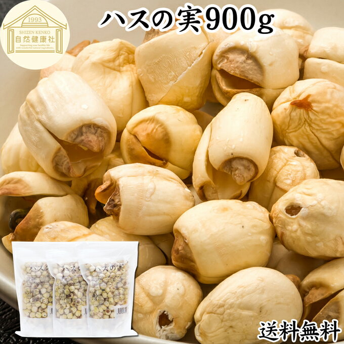 ハスの実 900g 蓮の実 はすの実 蓮実 レンジツ 徳用 送料無料 アルカロイド 無添加 乾燥 無漂白 無着色 蓮茶 はす茶 薬膳茶 業務用 食材 健康食材 漢方 薬膳 美容 ダイエット ごはん 具材 スープ 炊き込みご飯 鍋 煮込み料理 中華食材 味噌汁 茹でる おかゆ お粥 おこわ 甘納