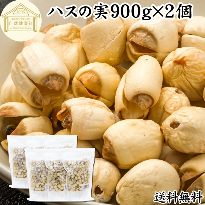 ハスの実 900g×2個 蓮の実 はすの実 蓮実 レンジツ 徳用 送料無料 アルカロイド 無添加 乾燥 無漂白 無着色 蓮茶 はす茶 薬膳茶 業務用 食材 健康食材 漢方 薬膳 美容 ダイエット ごはん 具材 スープ 炊き込みご飯 鍋 煮込み料理 中華食材 味噌汁 茹でる おかゆ お粥 おこわ