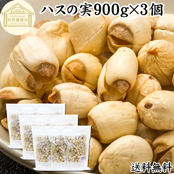 ハスの実 900g×3個 蓮の実 はすの実 蓮実 レンジツ 徳用 送料無料 アルカロイド 無添加 乾燥 無漂白 無着色 蓮茶 はす茶 薬膳茶 業務用 食材 健康食材 漢方 薬膳 美容 ダイエット ごはん 具材 スープ 炊き込みご飯 鍋 煮込み料理 中華食材 味噌汁 茹でる おかゆ お粥 おこわ