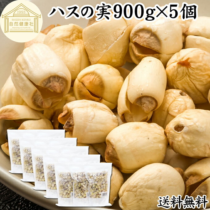 ハスの実 900g×5個 蓮の実 はすの実 蓮実 レンジツ 徳用 送料無料 アルカロイド 無添加 乾燥 無漂白 無着色 蓮茶 はす茶 薬膳茶 業務用 食材 健康食材 漢方 薬膳 美容 ダイエット ごはん 具材 スープ 炊き込みご飯 鍋 煮込み料理 中華食材 味噌汁 茹でる おかゆ お粥 おこわ