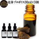 楽天青汁 粉末 健康茶の健康生活研究所プロポリス 液体 エキス 30ml×3個 サプリ サプリメント ブラジル産 フラボノイド アミノ酸 ミネラル ビタミン 蜜蝋 ミツロウ 精油 花粉 有機酸 エステル クマリン 高品質 男性 女性 おすすめ 美容 健康 お試し おためし 口コミ ミツバチ 蜜蜂 みつばち 天然 業務用 水 お茶