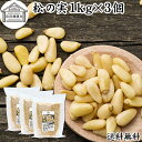 松の実 1kg×3個 (500g×6個) まつのみ 無添加 無塩 おすすめ 業務用 送料無料 人気 ノンオイル 中華 イタリアン 食材 製菓 製パン 材料 ドライ ナッツ トッピング ドレッシング ペスト ジェノベーゼ バジル ソース作り 大粒 ヘルシー 無着色 Pinenut パインナッツ 亜鉛 薬膳