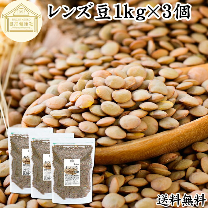 レンズ豆 1kg×3個 レンズマメ 皮付き ブラウン アメリカ産 無添加 100% 皮つき 送料無料 レンティル レンチル ヒラマメ 乾燥豆 業務用 たんぱく質 食物繊維 鉄分 亜鉛 葉酸 セレン ミネラル スーパーフード ヴィーガン ビーガン ベジタリアン マクロビオティック マクロビ